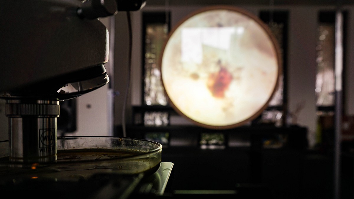 Studio Monstrum Work Close Worlds